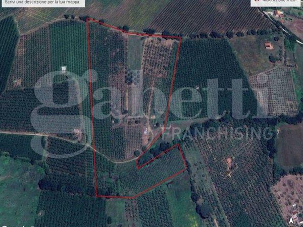 terreno agricolo in vendita a Gallese