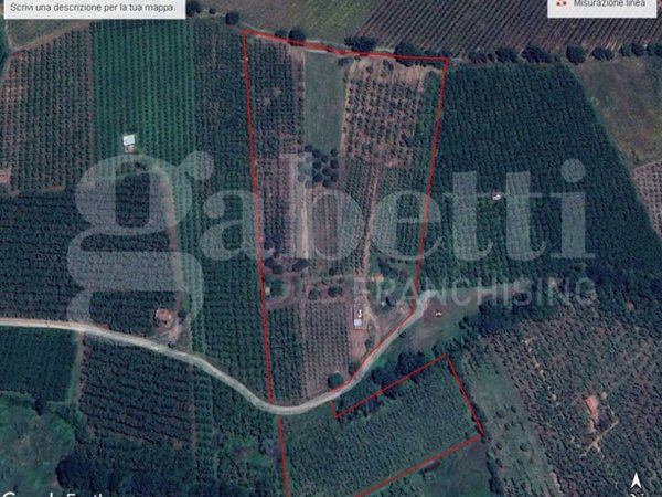 terreno agricolo in vendita a Gallese