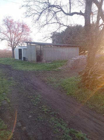 terreno agricolo in vendita a Gallese
