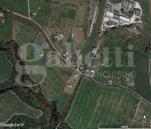 terreno agricolo in vendita a Gallese