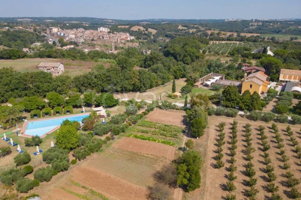 locale di sgombero in vendita a Gallese