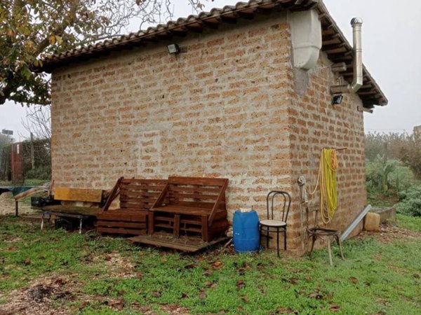 terreno agricolo in vendita a Gallese