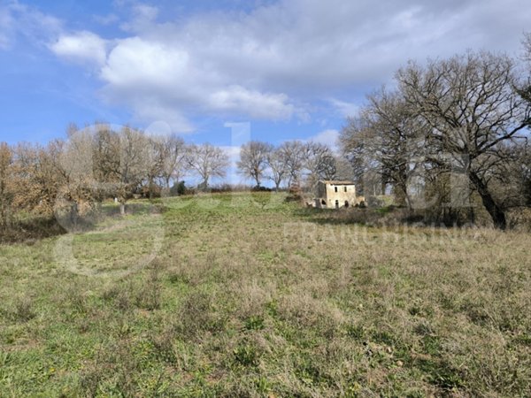 casa indipendente in vendita a Gallese