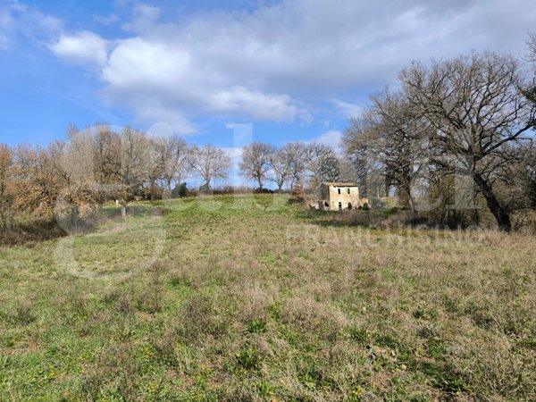 casa indipendente in vendita a Gallese