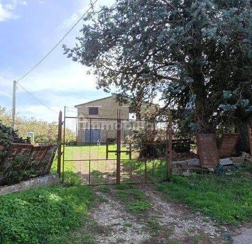 casa indipendente in vendita a Gallese