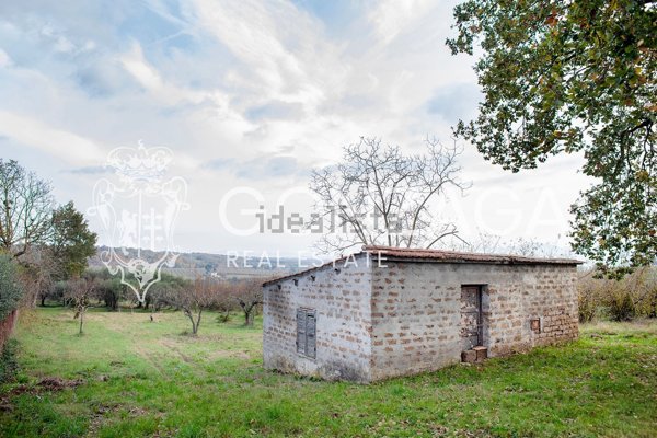 appartamento in vendita a Gallese