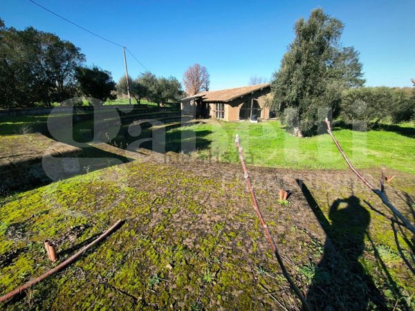 casa indipendente in vendita a Gallese