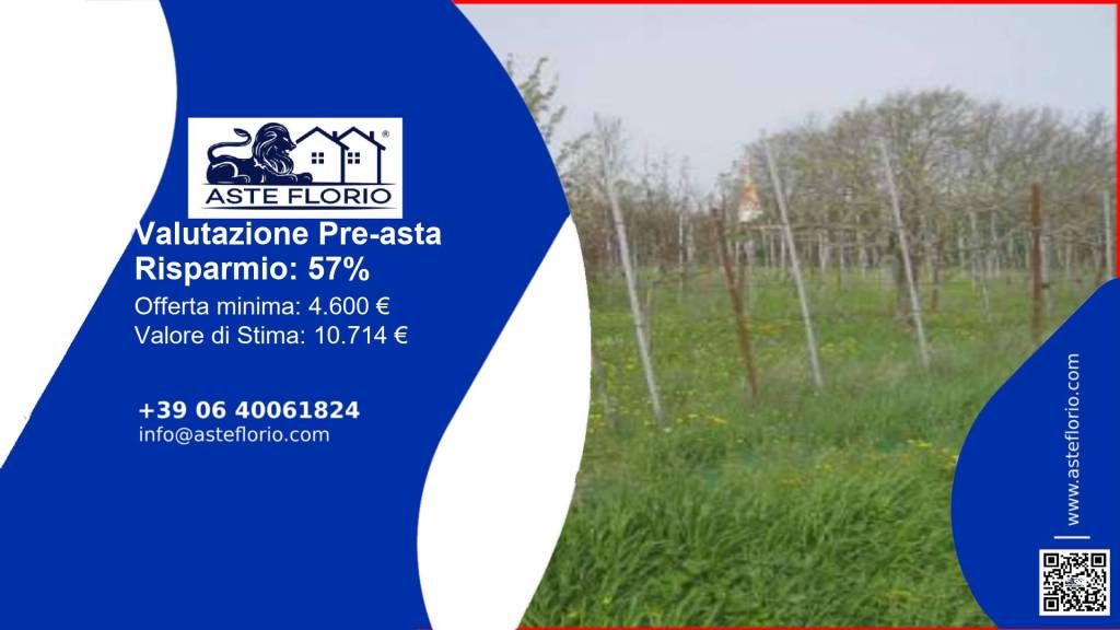 terreno agricolo in vendita a Gallese