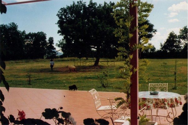 casa indipendente in vendita a Gallese