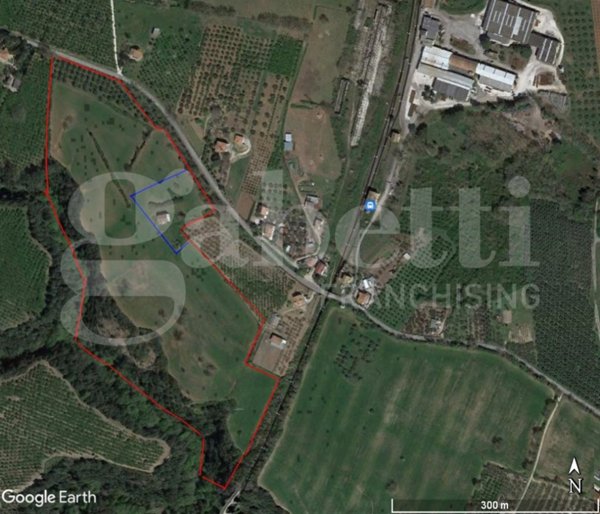 terreno agricolo in vendita a Gallese