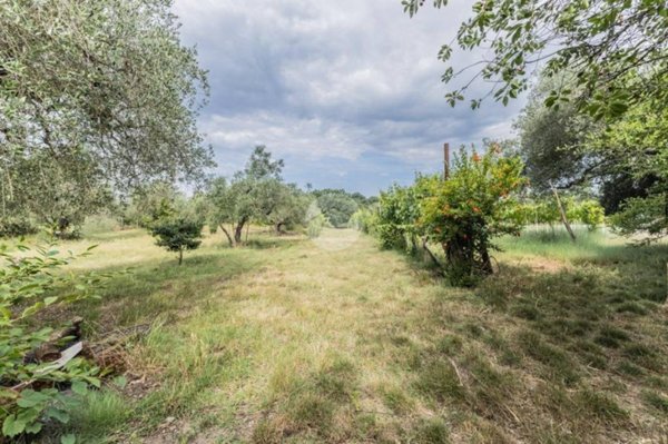 terreno agricolo in vendita a Gallese