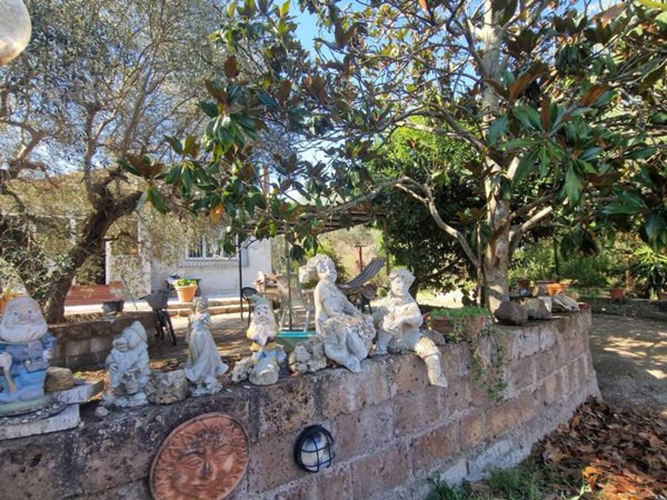 appartamento in vendita a Gallese