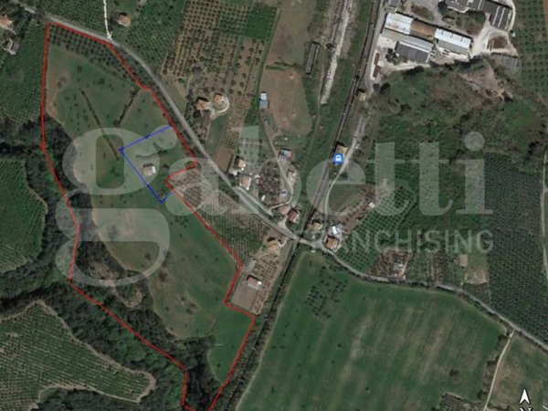 terreno agricolo in vendita a Gallese