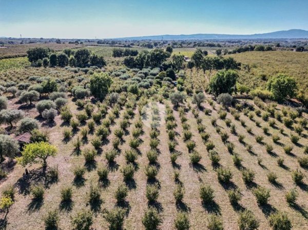 terreno in vendita a Gallese