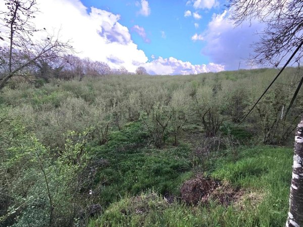 terreno in vendita a Gallese