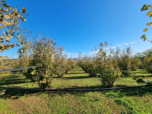 terreno in vendita a Gallese
