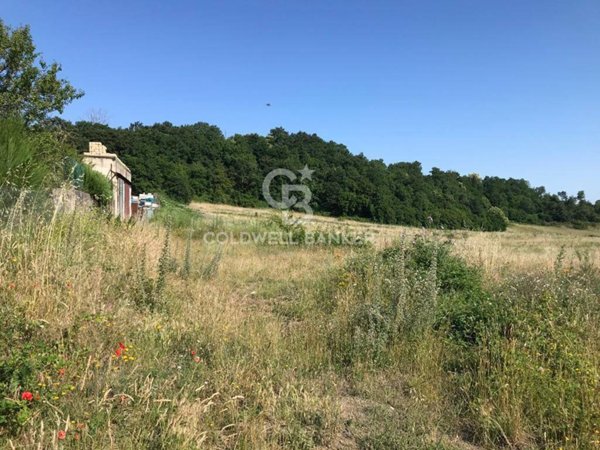 terreno agricolo in vendita a Gradoli