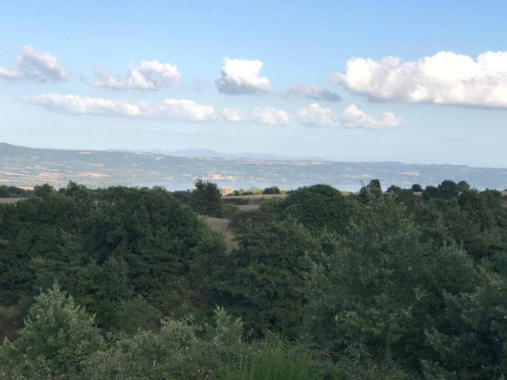 terreno agricolo in vendita a Gradoli