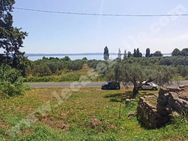 casa indipendente in vendita a Gradoli