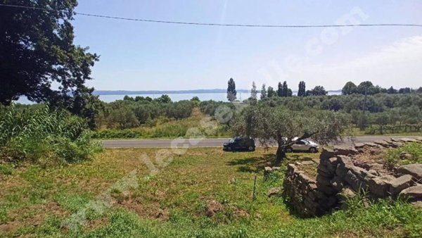 appartamento in vendita a Gradoli