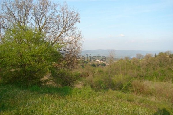 appartamento in vendita a Gradoli