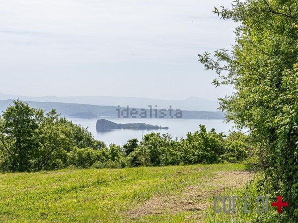 terreno agricolo in vendita a Gradoli