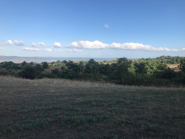 terreno agricolo in vendita a Gradoli