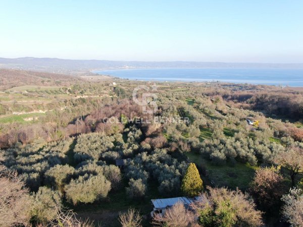 terreno agricolo in vendita a Gradoli