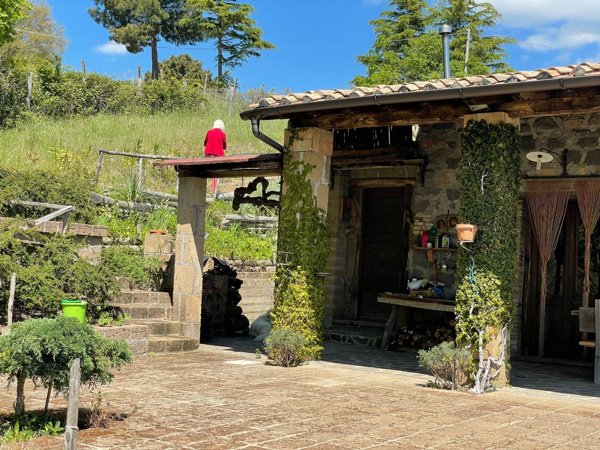 appartamento in vendita a Gradoli