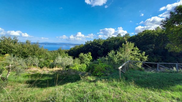 locale di sgombero in vendita a Gradoli