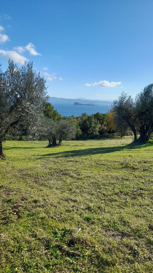 appartamento in vendita a Gradoli