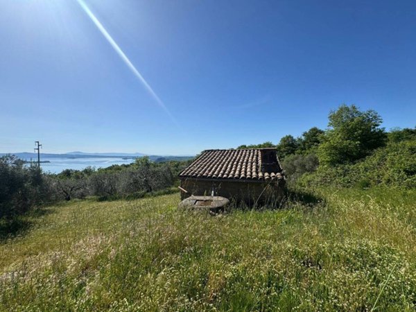 casa indipendente in vendita a Gradoli