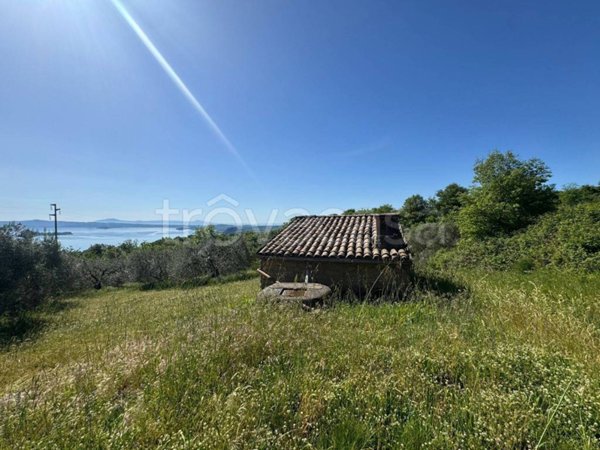 casa indipendente in vendita a Gradoli