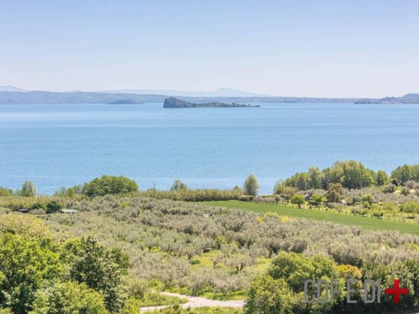 rudere in vendita a Gradoli in zona Cantoniera