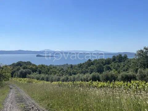 terreno in vendita a Gradoli in zona Cantoniera