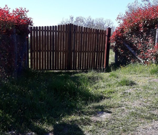 terreno in vendita a Gradoli in zona Cantoniera