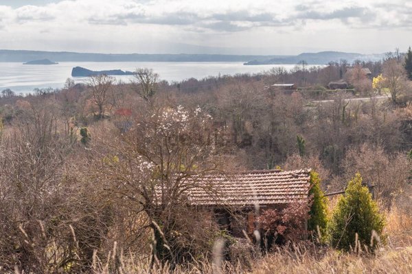 terreno in vendita a Gradoli