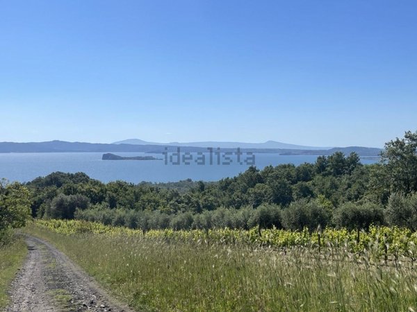 terreno in vendita a Gradoli in zona Cantoniera