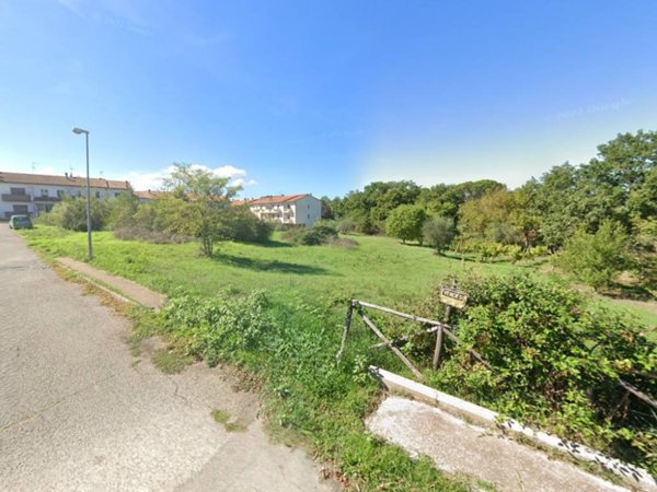 terreno agricolo in vendita a Graffignano in zona Sipicciano