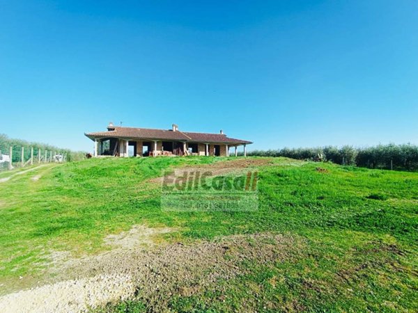 casa indipendente in vendita a Graffignano in zona Sipicciano