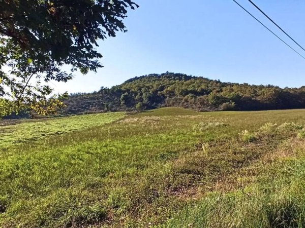 terreno agricolo in vendita a Graffignano in zona Pisciarello