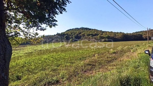 terreno agricolo in vendita a Graffignano in zona Pisciarello