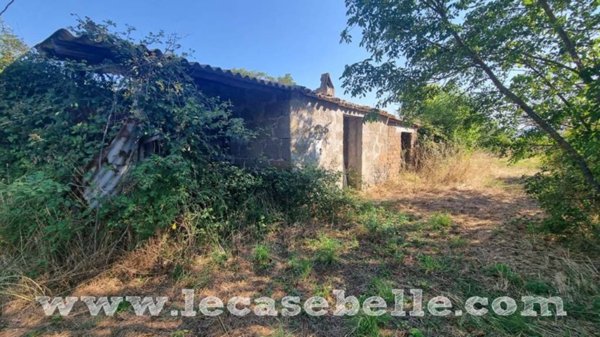 casa indipendente in vendita a Graffignano