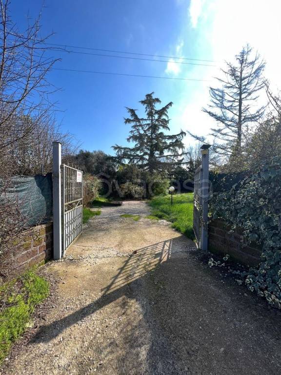 casa indipendente in vendita a Graffignano in zona Sipicciano