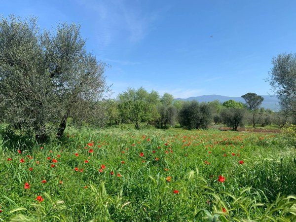 casale in vendita a Graffignano