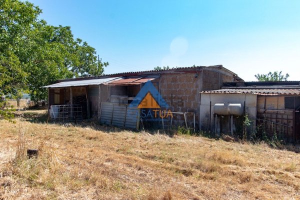 locale di sgombero in vendita a Graffignano in zona Pisciarello