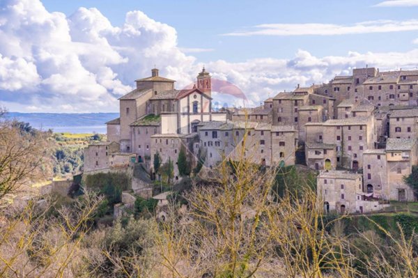appartamento in vendita a Grotte di Castro