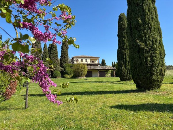casa indipendente in vendita a Grotte di Castro
