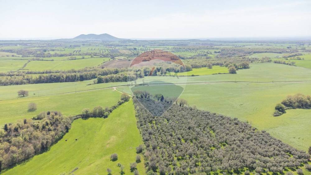 terreno agricolo in vendita ad Ischia di Castro
