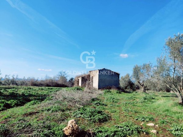 casa indipendente in vendita ad Ischia di Castro